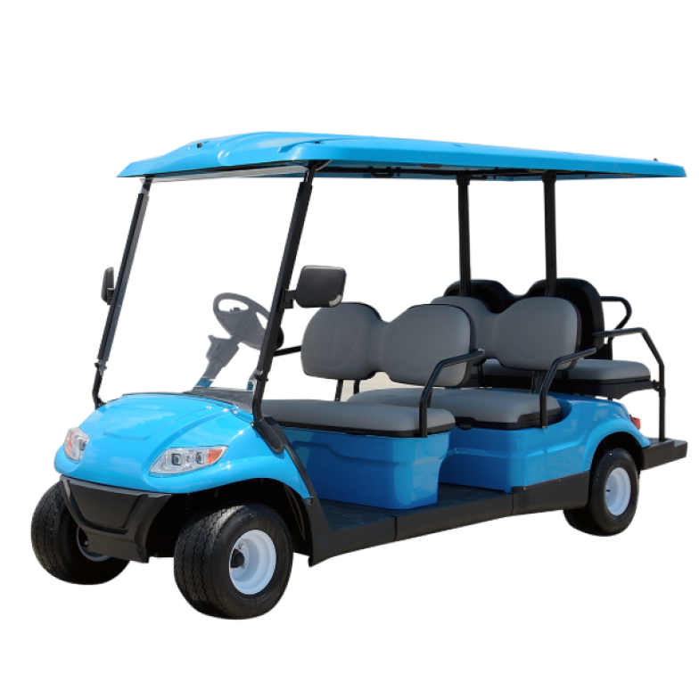 XE ĐIỆN CHỞ KHÁCH DU LỊCH: 06 CHỖ